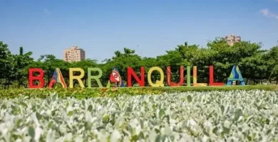 Notarías en Barranquilla