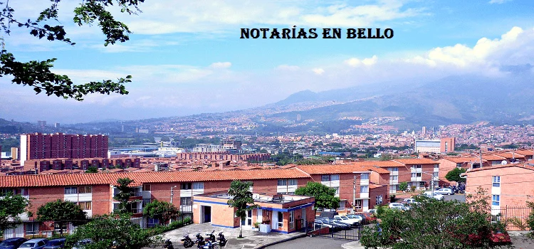 Notarías en Bello