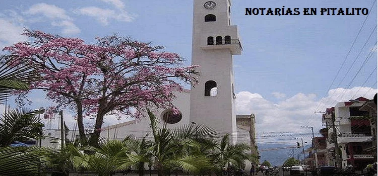 Notarías en Pitalito